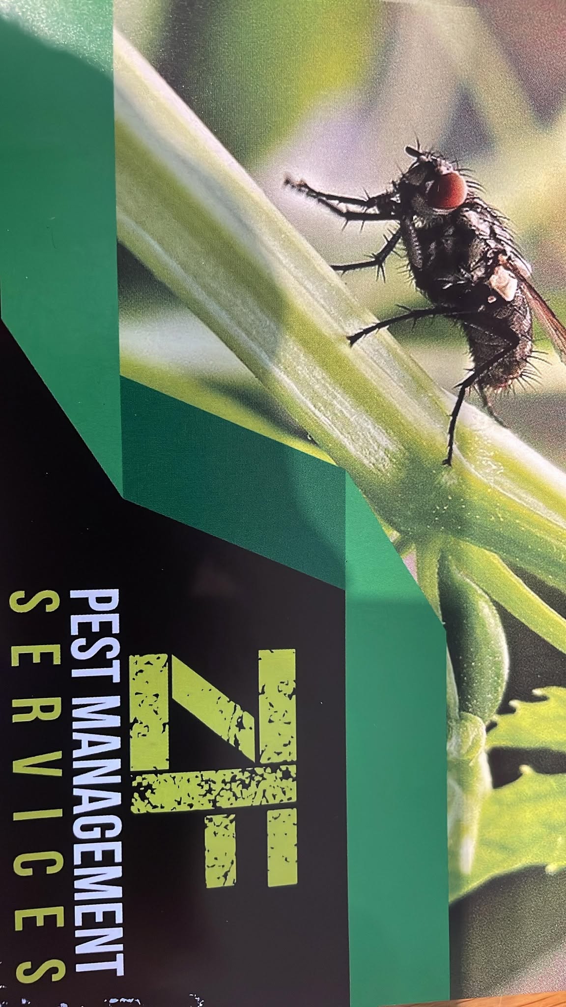 ZF Pest Management Services card: a fly on a green stem beside the ZF logo