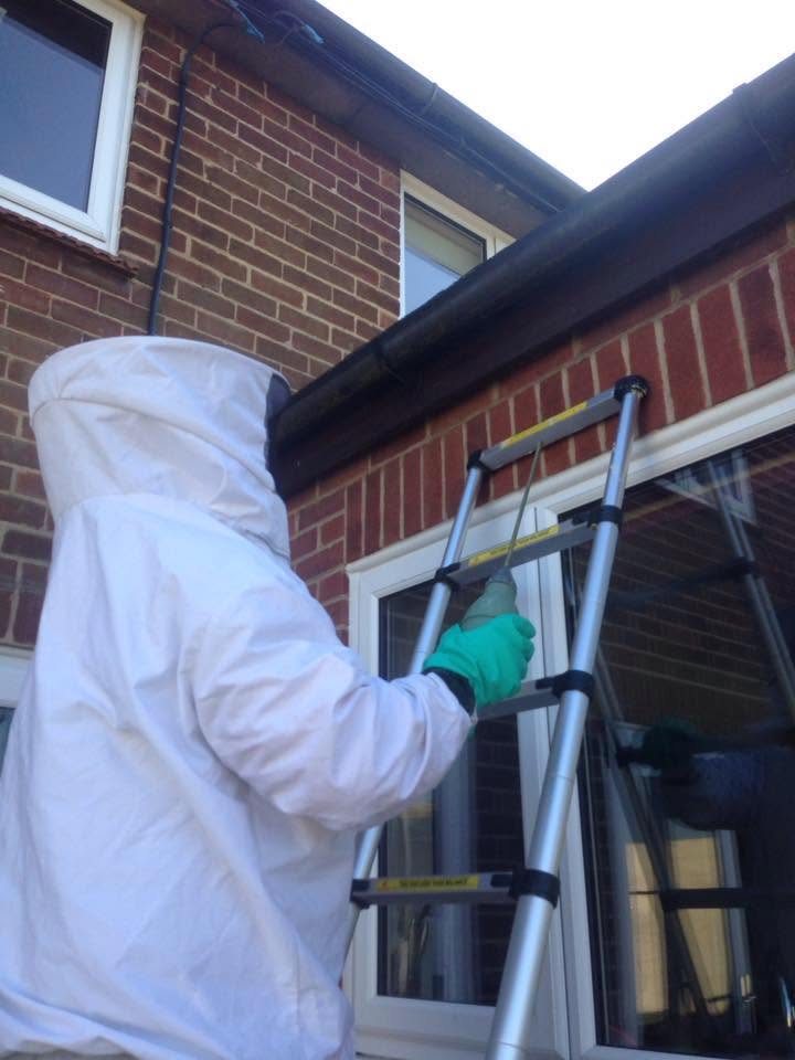 A ZF technician in a full white protective suit on a ladder, treating a nest at the eaves of a brick house